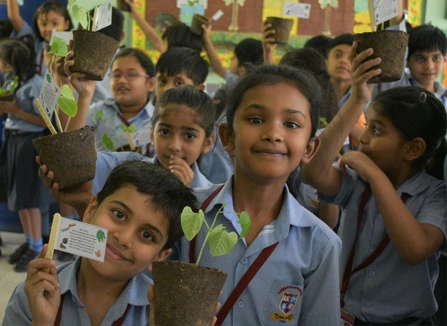 Nature Connect Program at Sowgood Farming